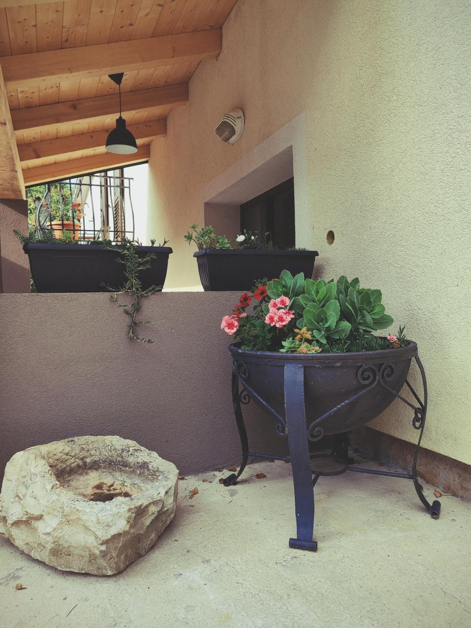 Judita Villa *